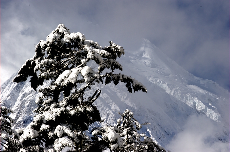 _DSC6758.jpg