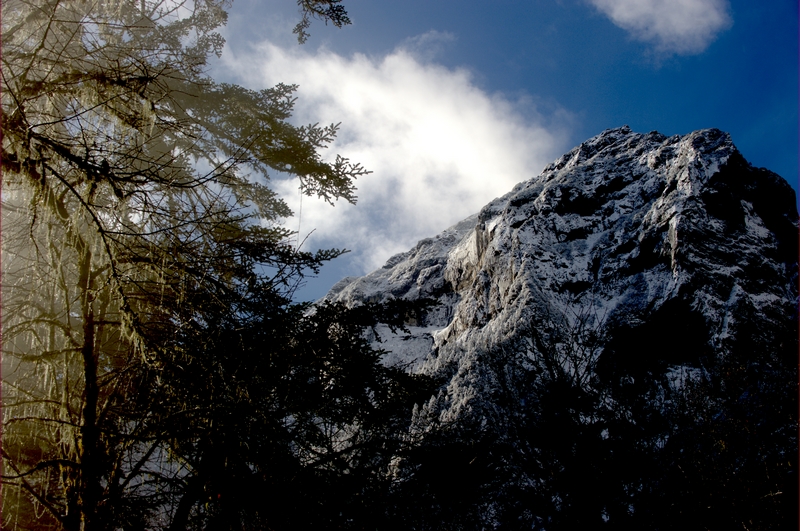 _DSC6740.jpg