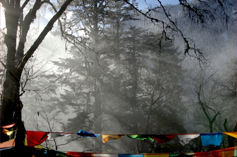 _DSC6752.jpg
