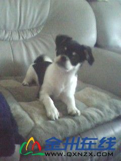 IMG0081A_.jpg