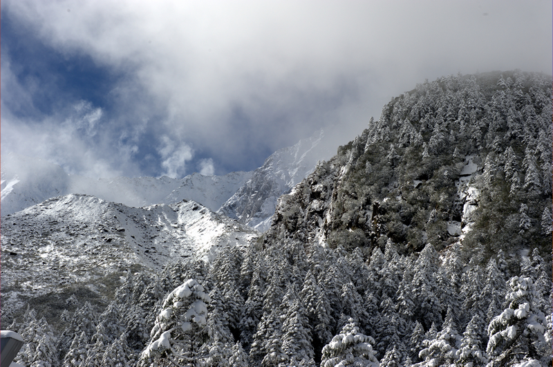 _DSC6855.jpg