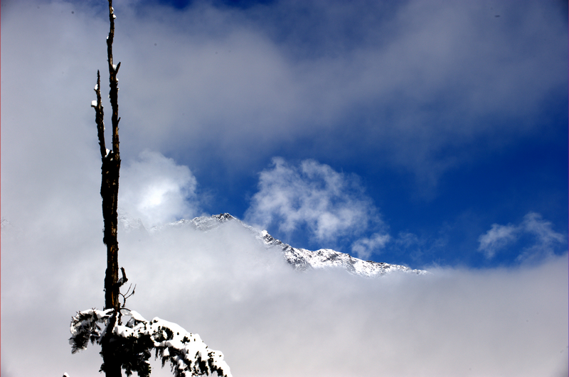 _DSC6987.jpg