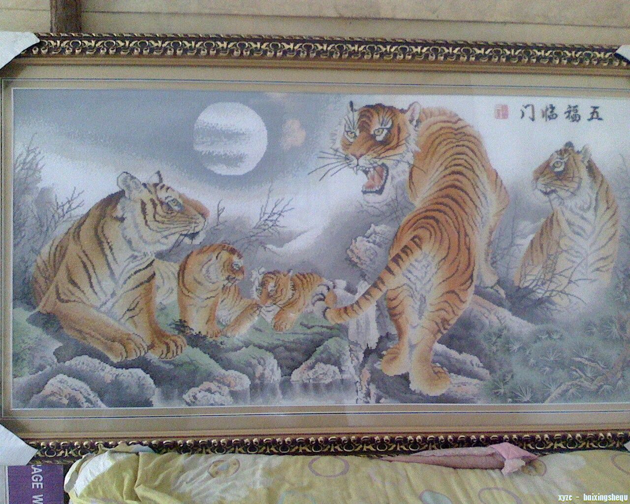 IMG1210150500.jpg