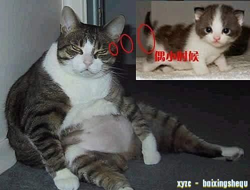 è.jpg