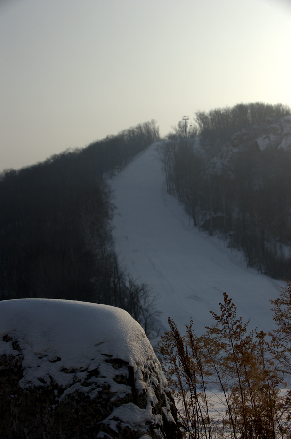 _DSC0346.jpg