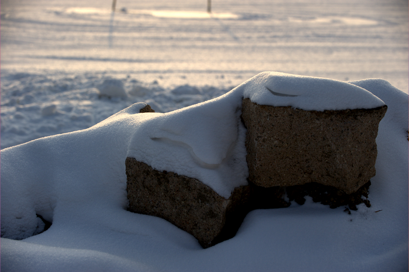 _DSC0391.jpg