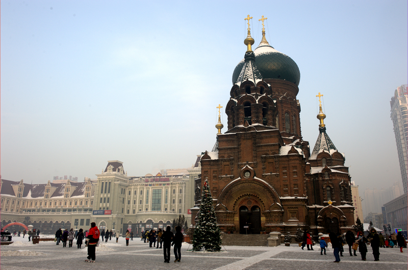 _DSC0877.jpg