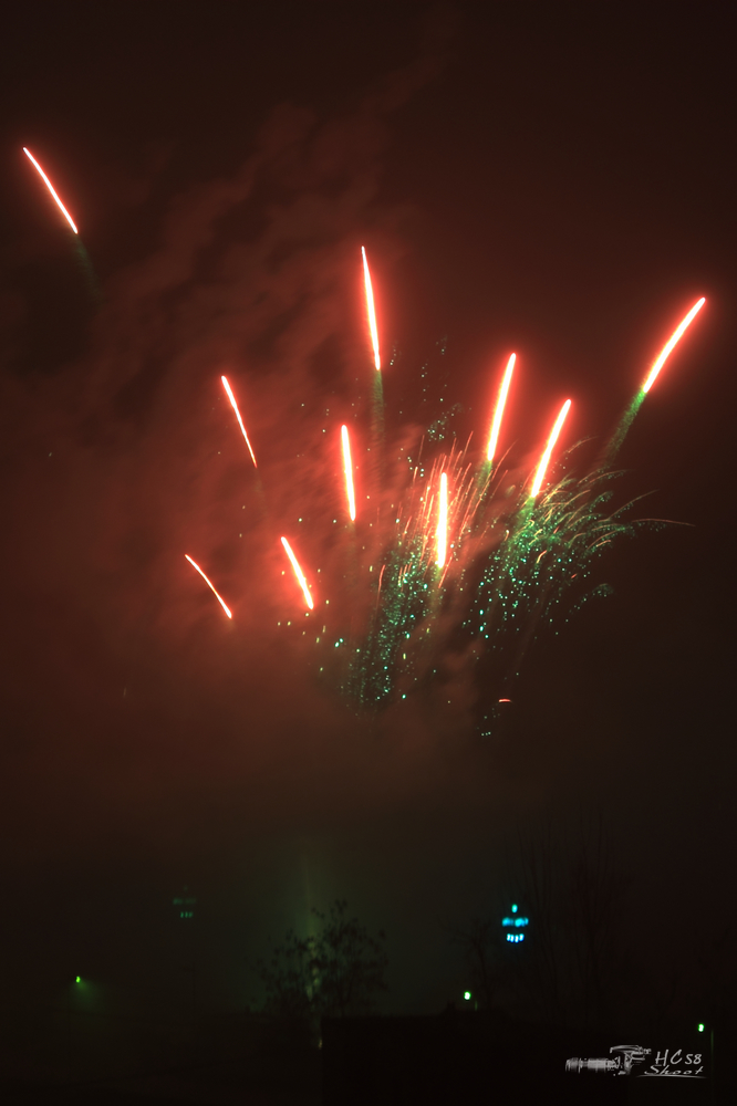 16237193.jpg