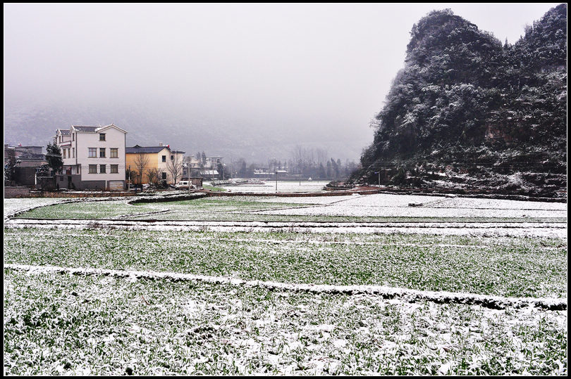 DSC_6060_nEO_IMG.jpg