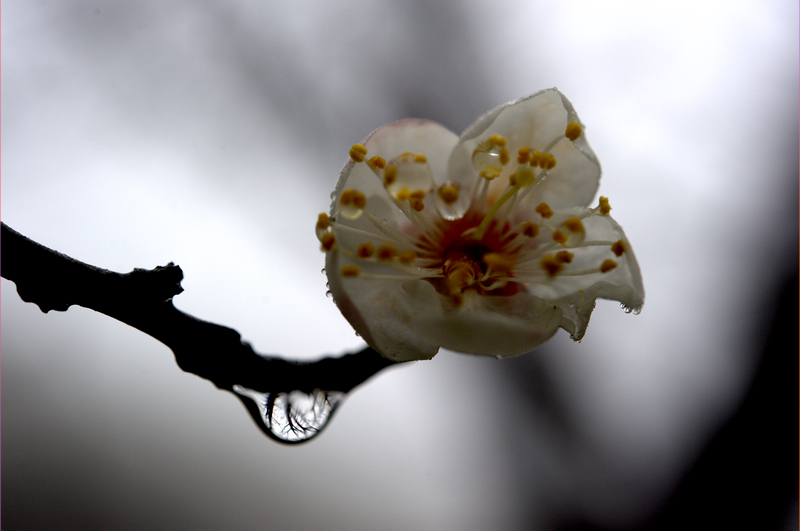 _DSC1205.jpg