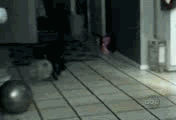 26977346_33448883.jpg