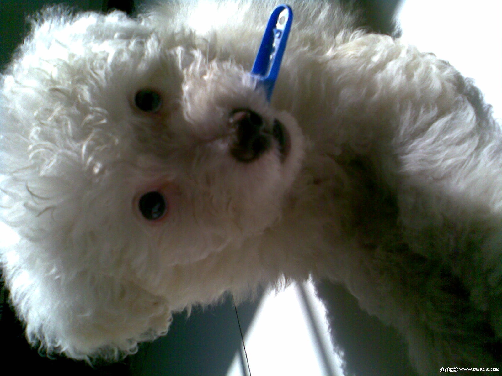 20110208(009).jpg