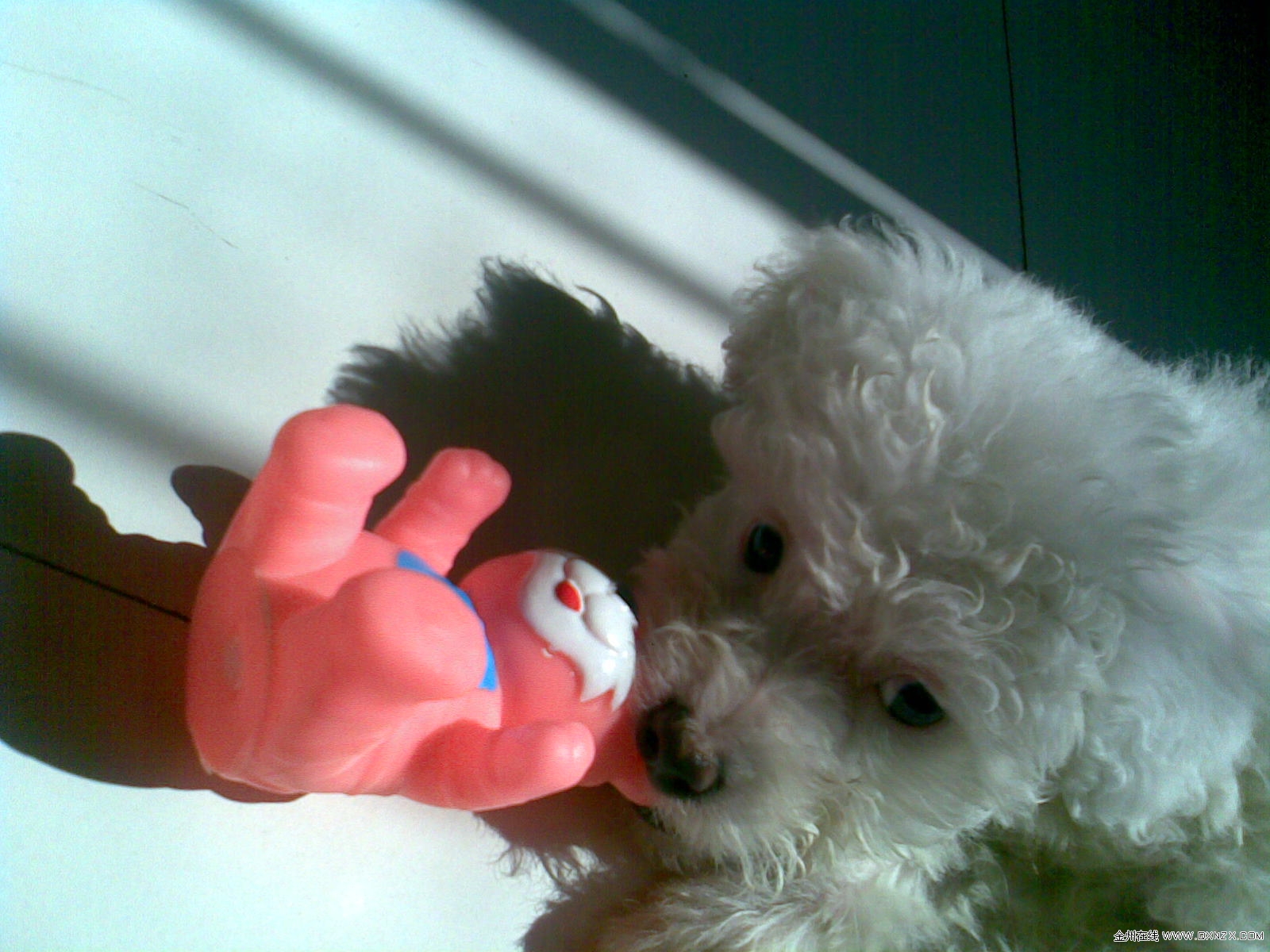 20110208(012).jpg