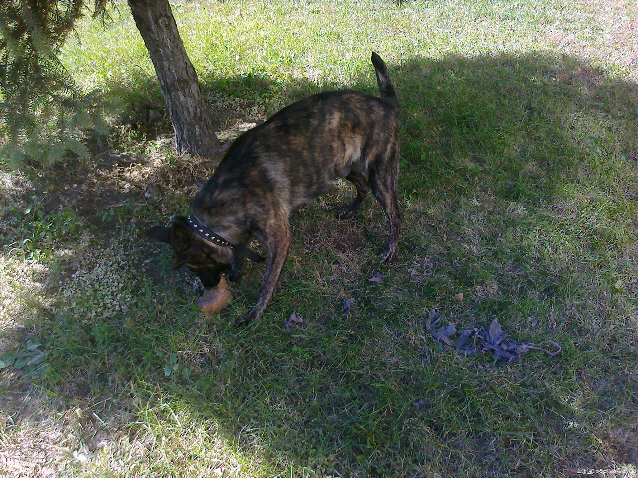 20100927136.jpg