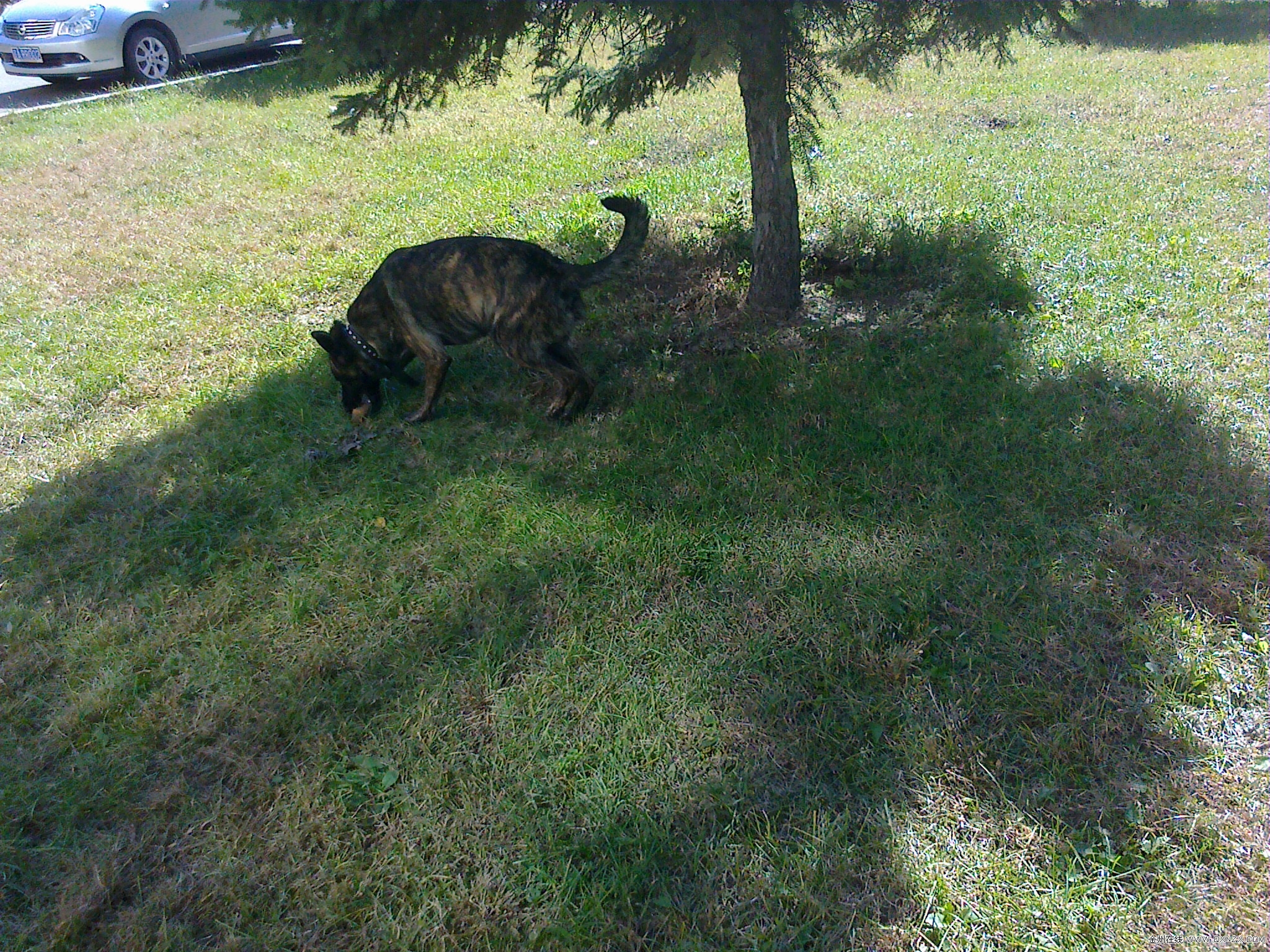 20100927137.jpg