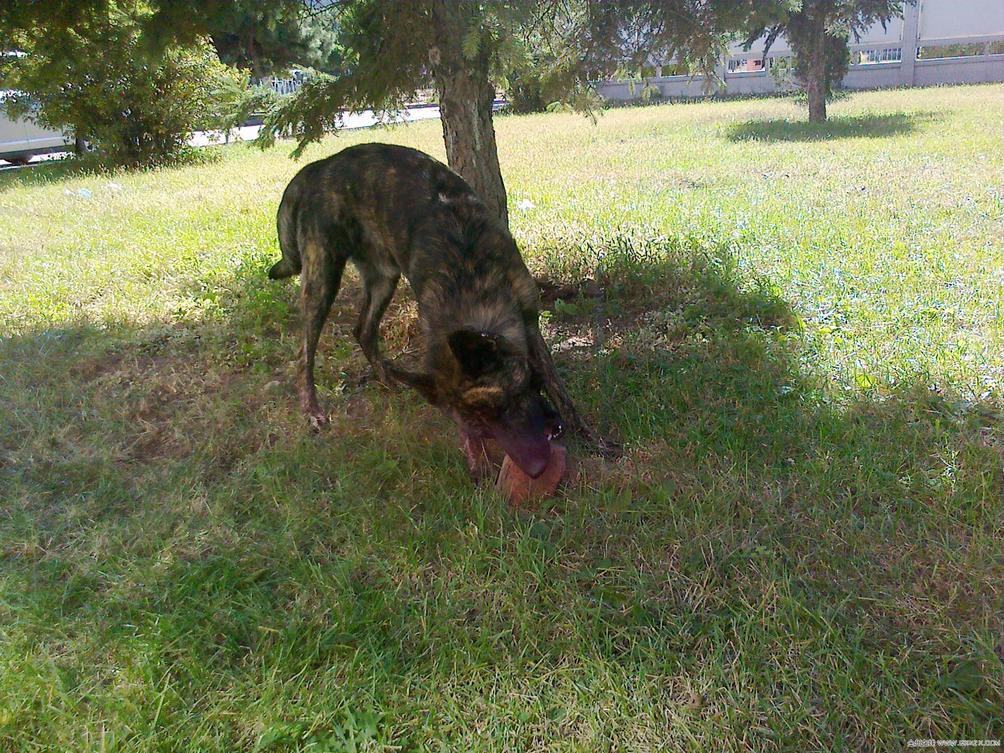 20100927139.jpg