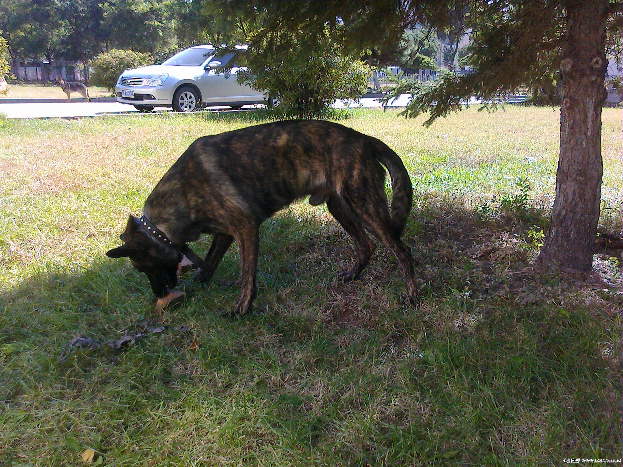 20100927140.jpg