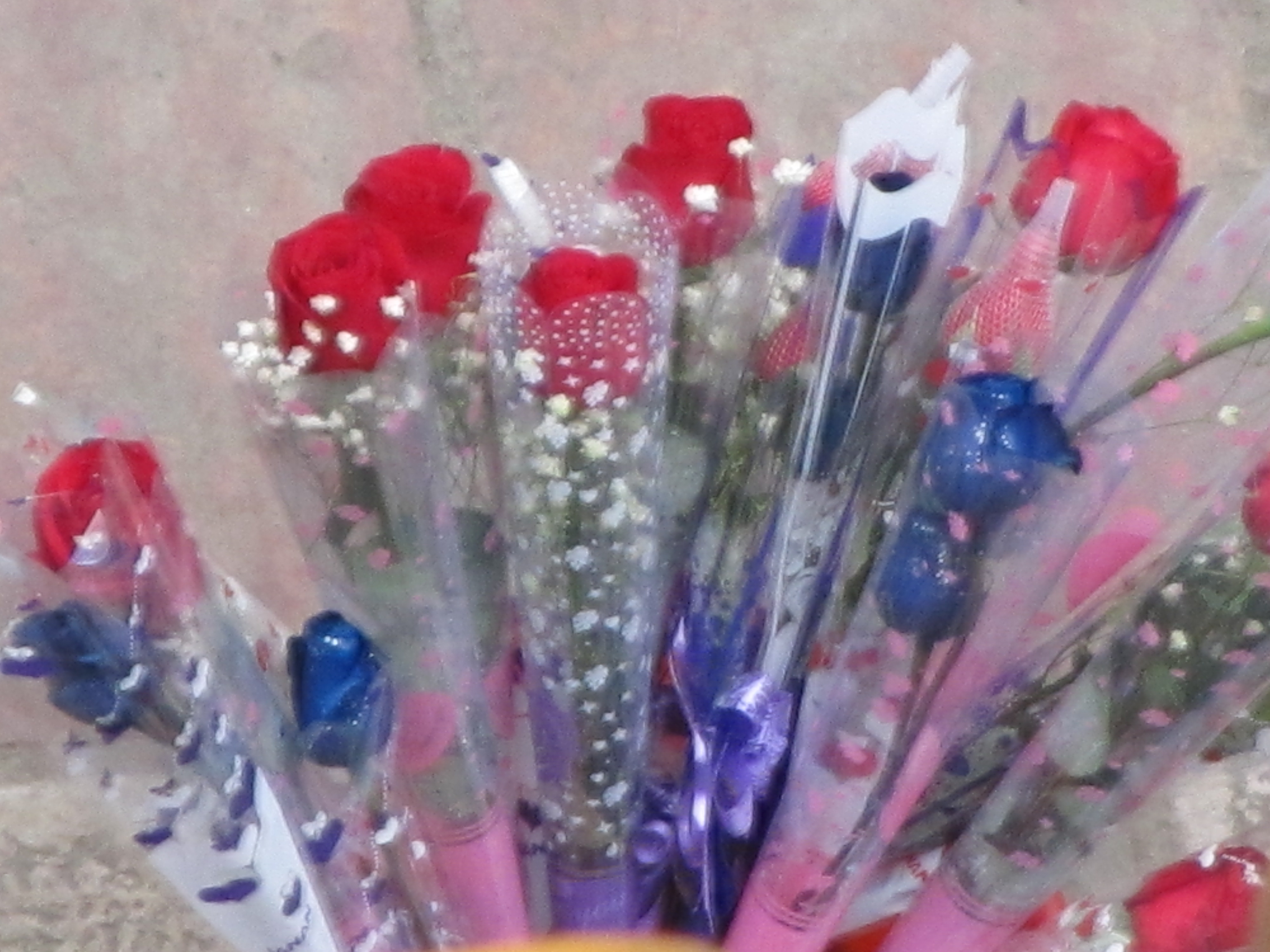 2011.02.14 168.jpg