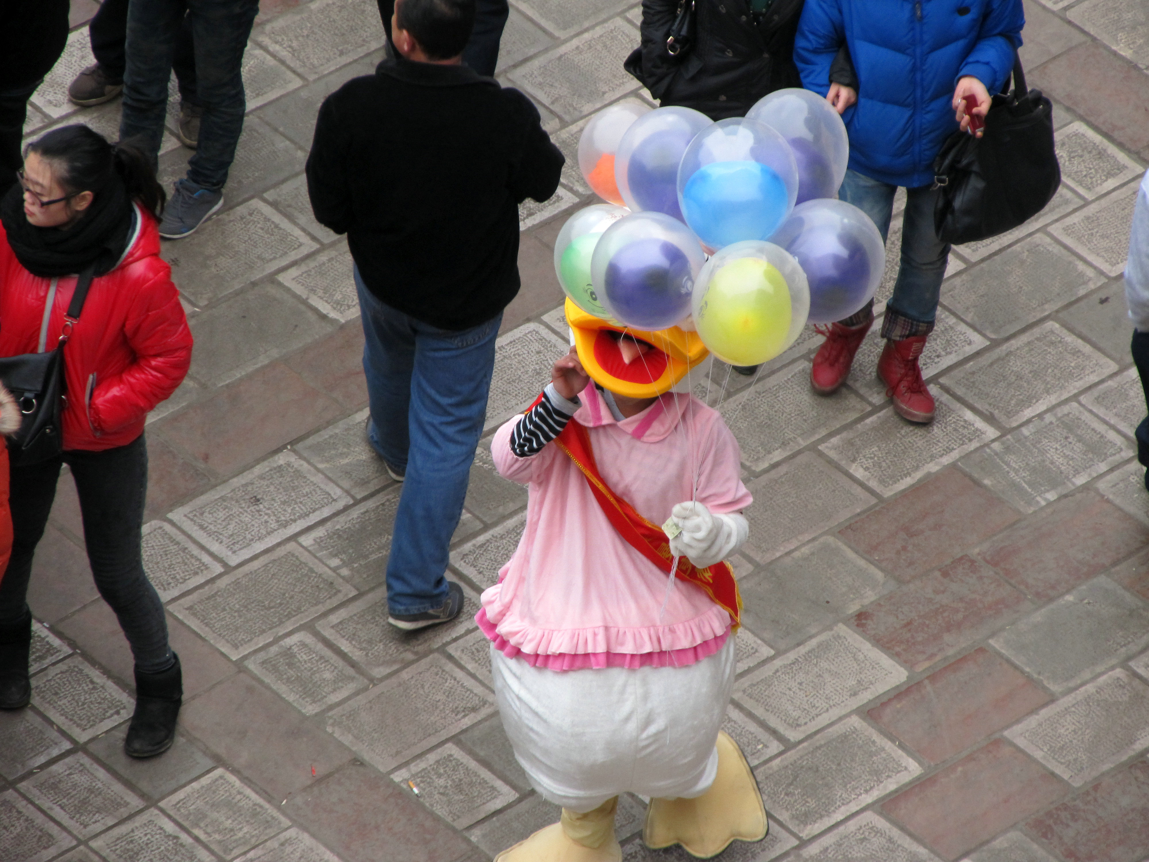 2011.02.14 146.jpg