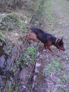 IMG0037A.jpg