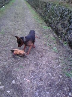 IMG0041A.jpg