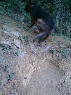IMG0049A.jpg