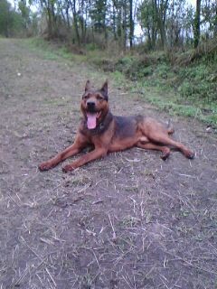 IMG0046A.jpg