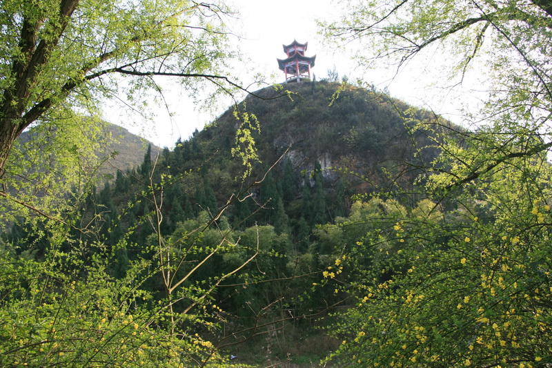 IMG_5059_С.jpg
