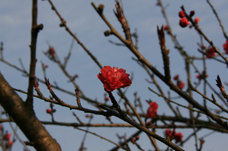 IMG_5064_С.jpg