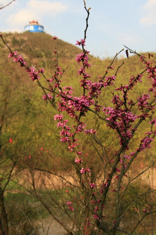 IMG_5075_С.jpg