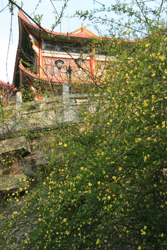 IMG_5084_С.jpg