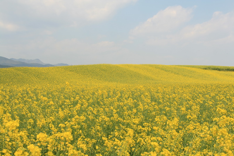еwindows xp