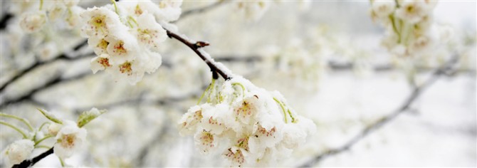 滨