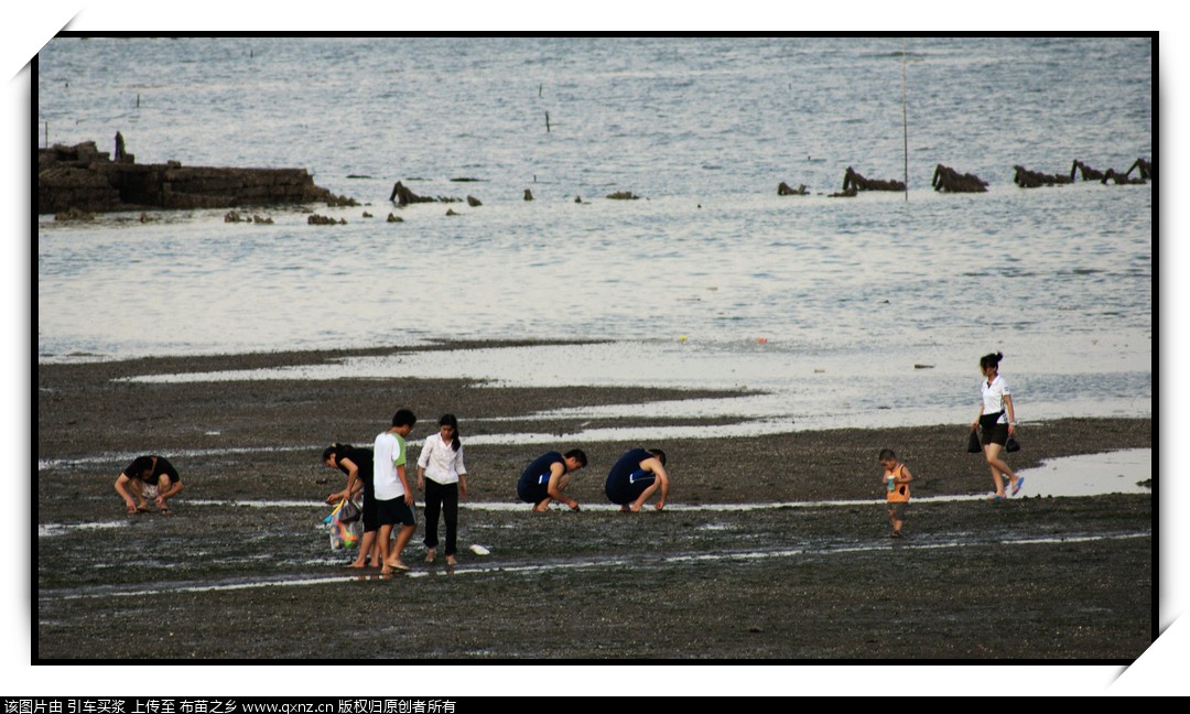 DSC05007.jpg