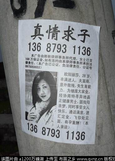 20110402.jpg