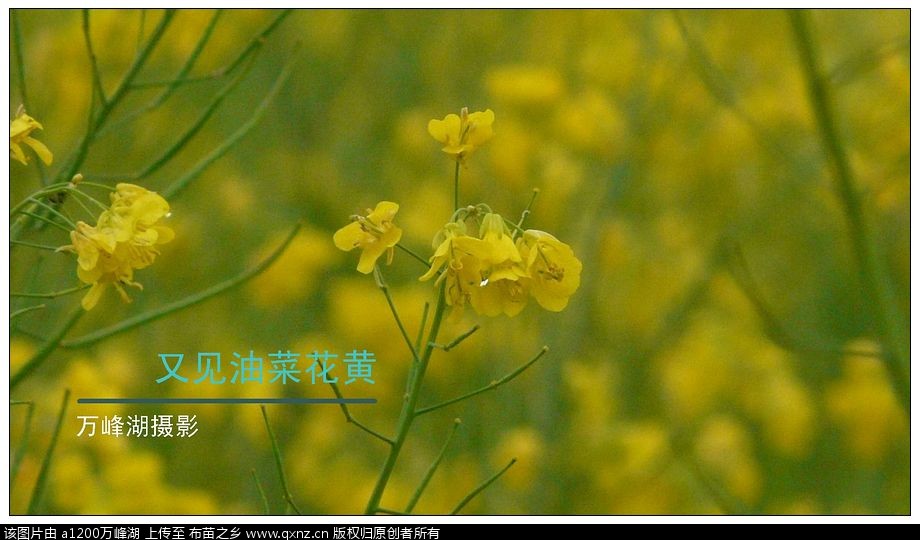 20110404Ͳ˻04.jpg