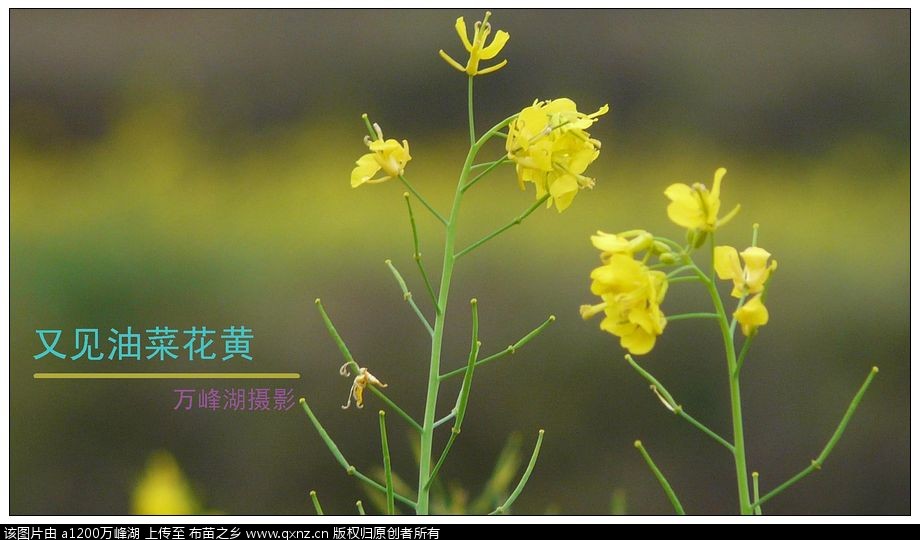 20110404Ͳ˻05.jpg