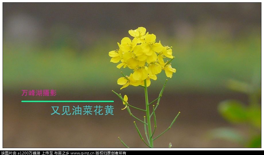 20110404Ͳ˻06.jpg