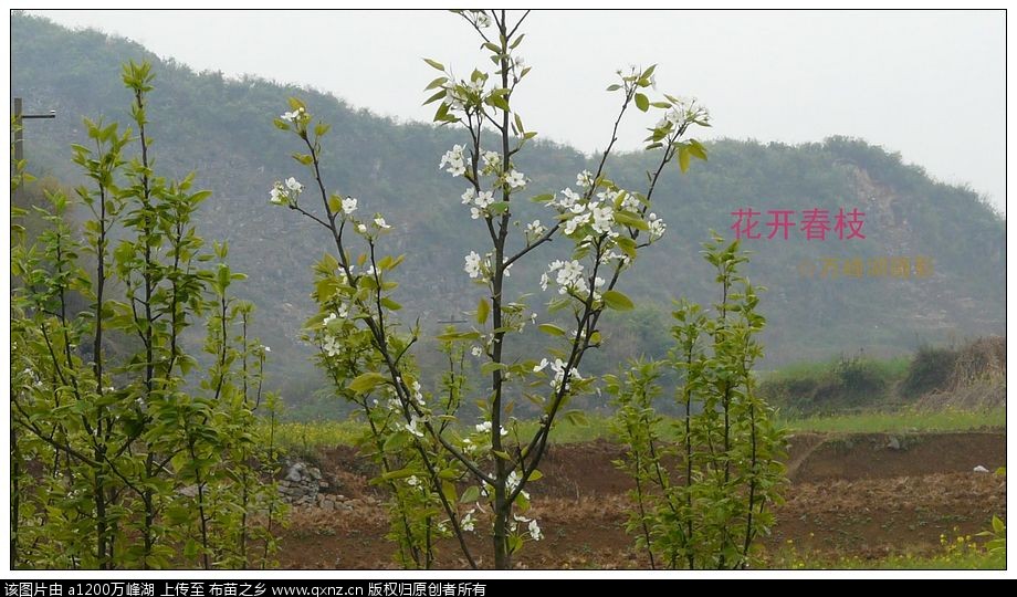 2011040401.jpg