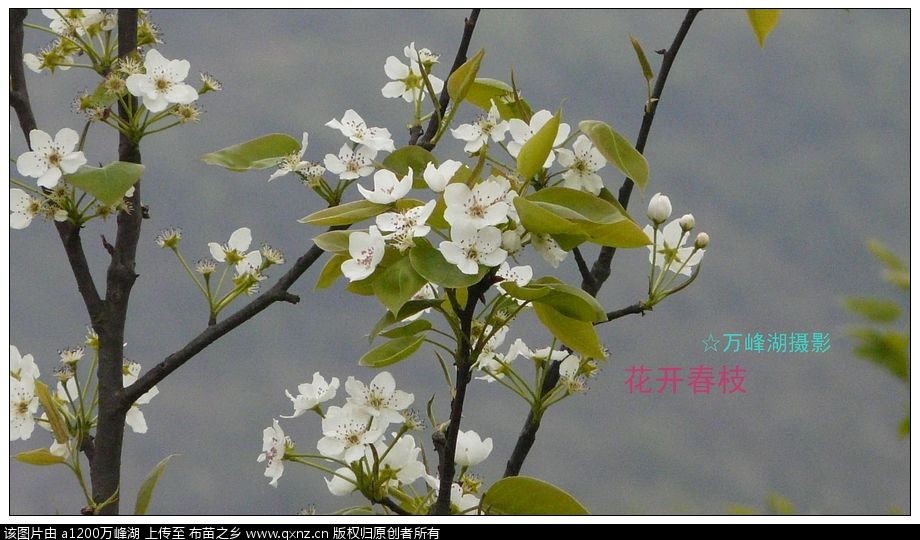 2011040402.jpg