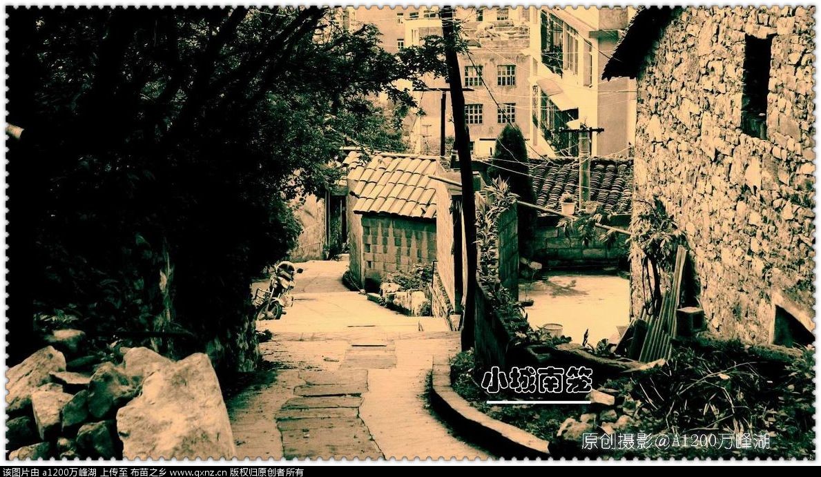 С06.jpg
