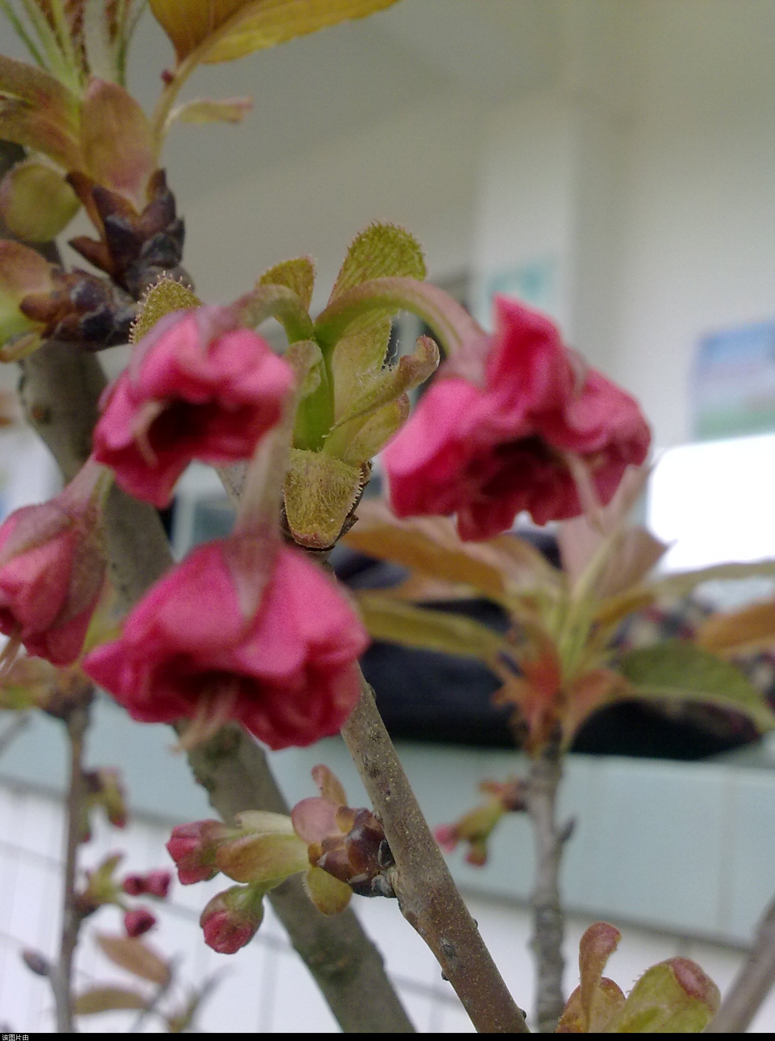 201103311191.jpg
