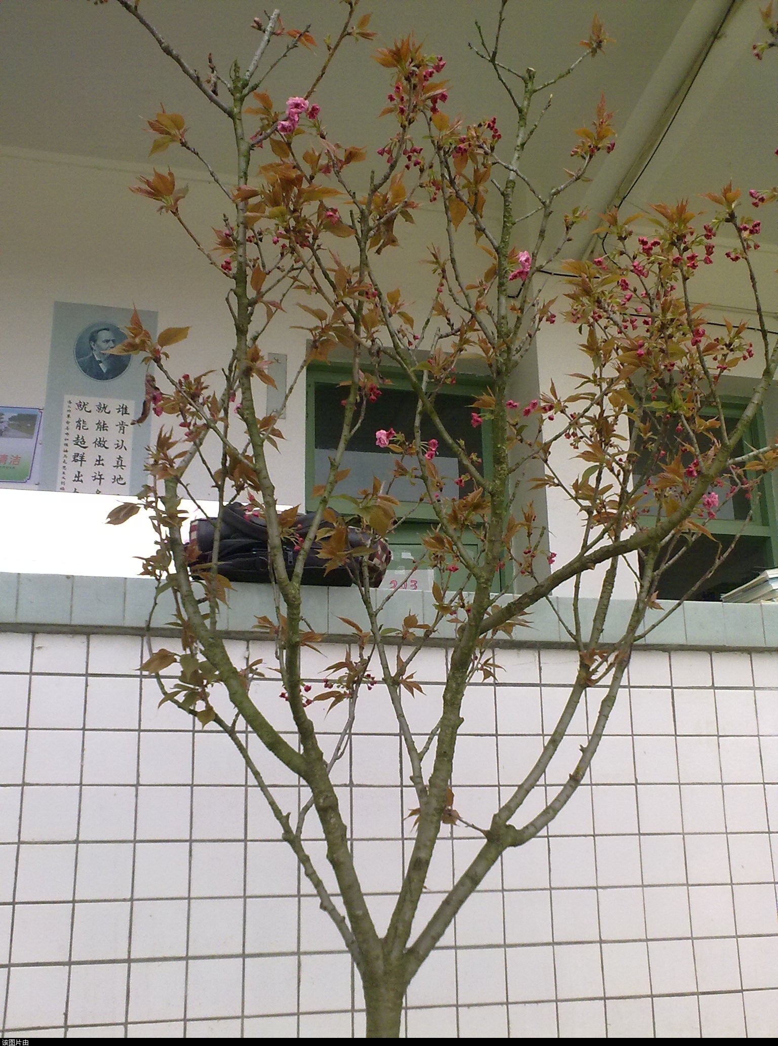 201103311201.jpg