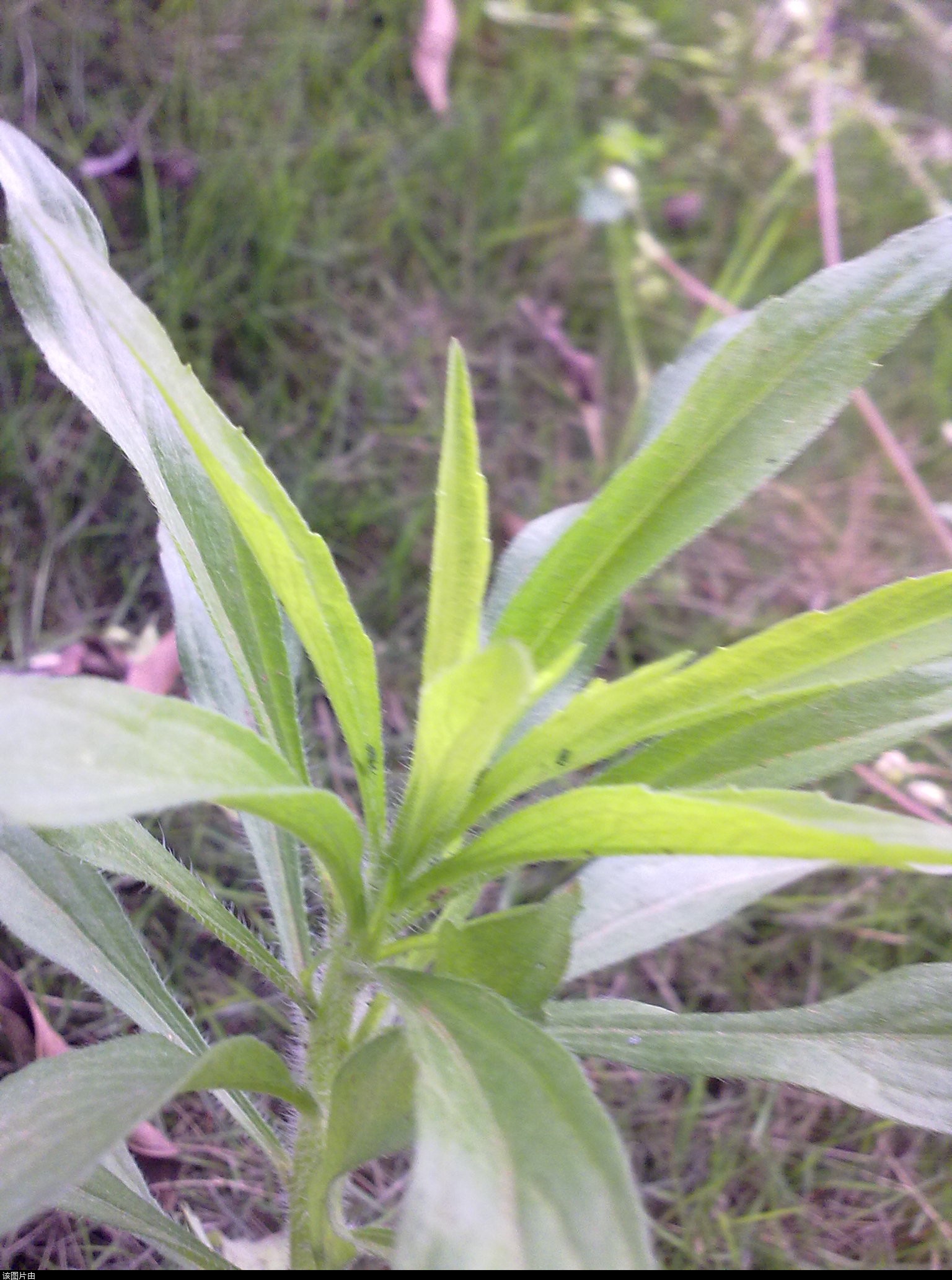 201103311202.jpg