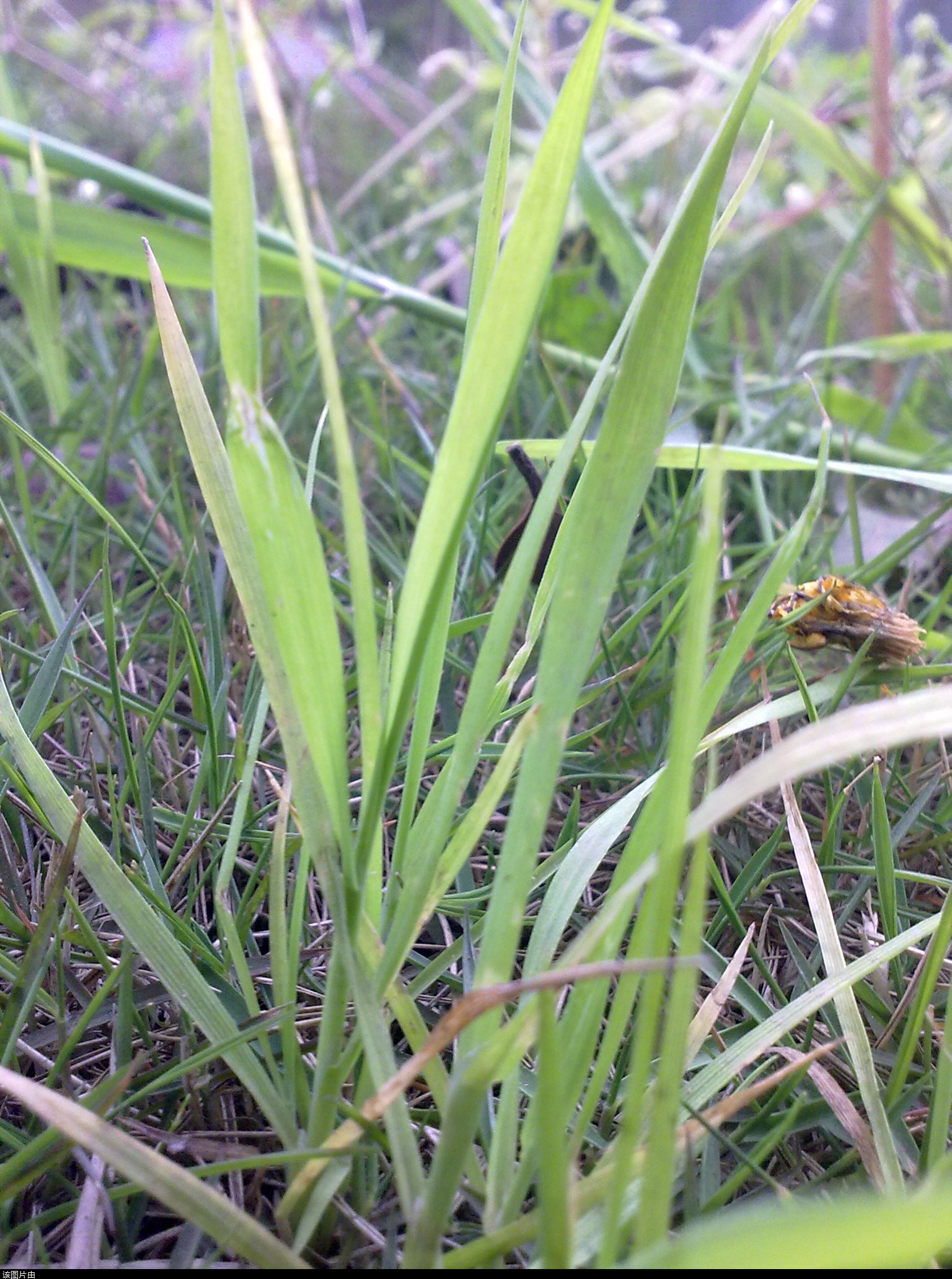 201103311203.jpg