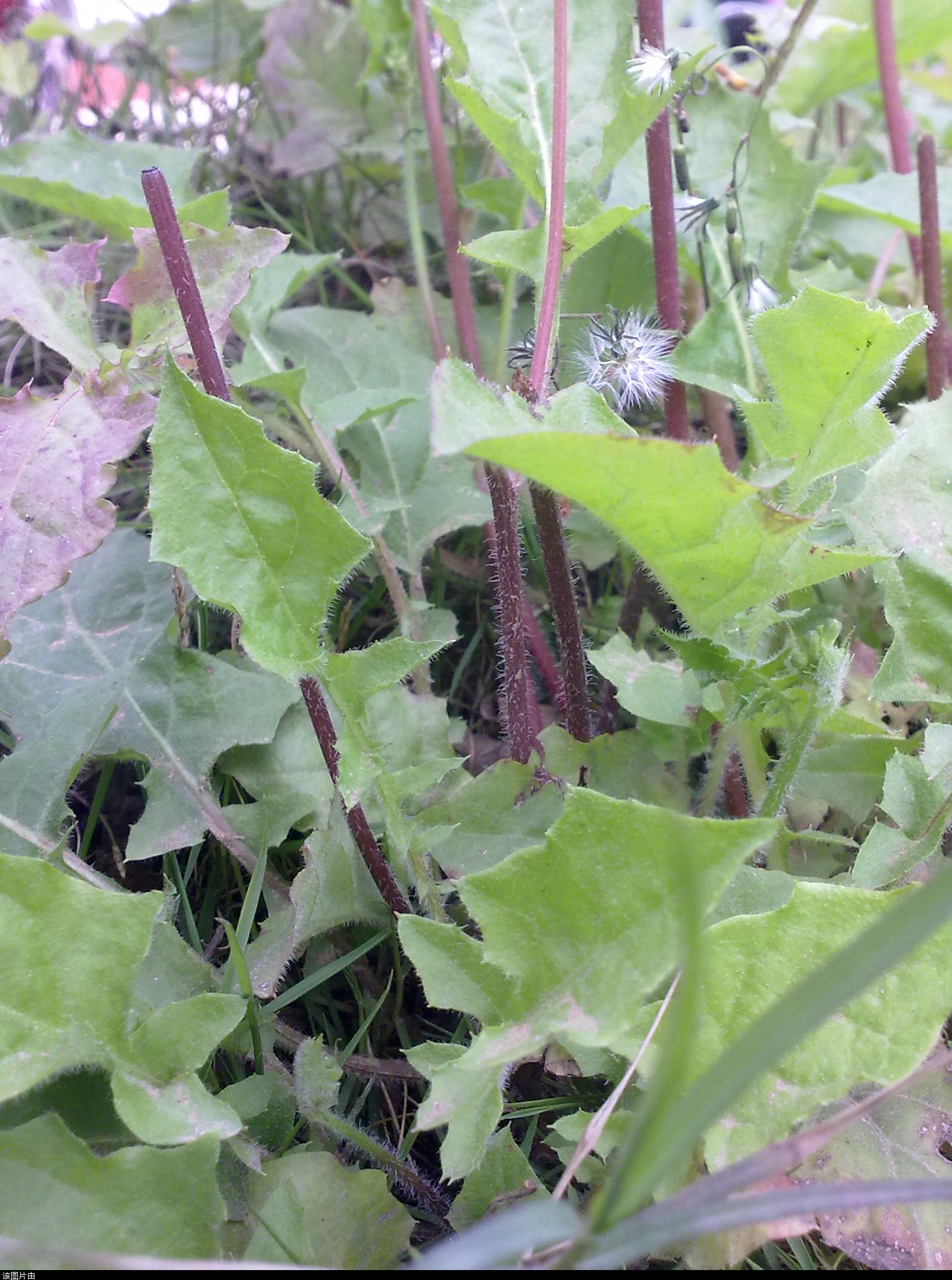 201103311215.jpg