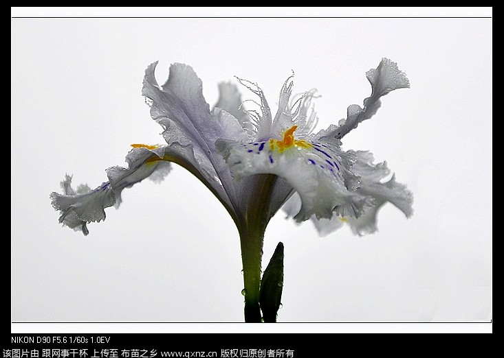 nEO_IMG__DSC0259.jpg