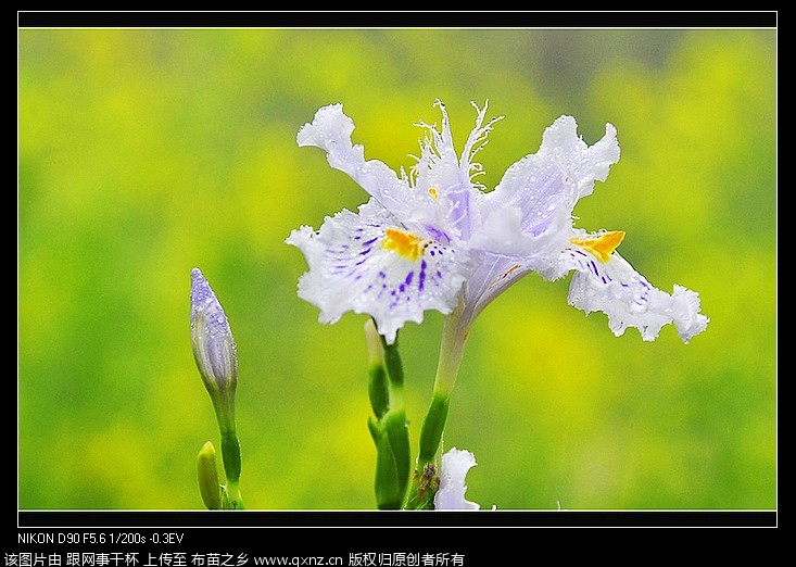 nEO_IMG__DSC0267.jpg
