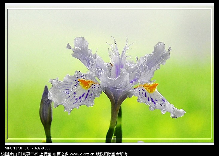 nEO_IMG__DSC0271.jpg