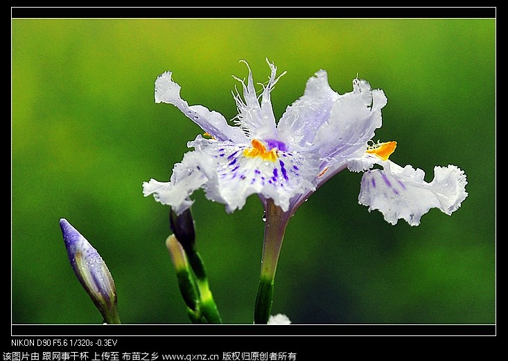 nEO_IMG__DSC0274.jpg